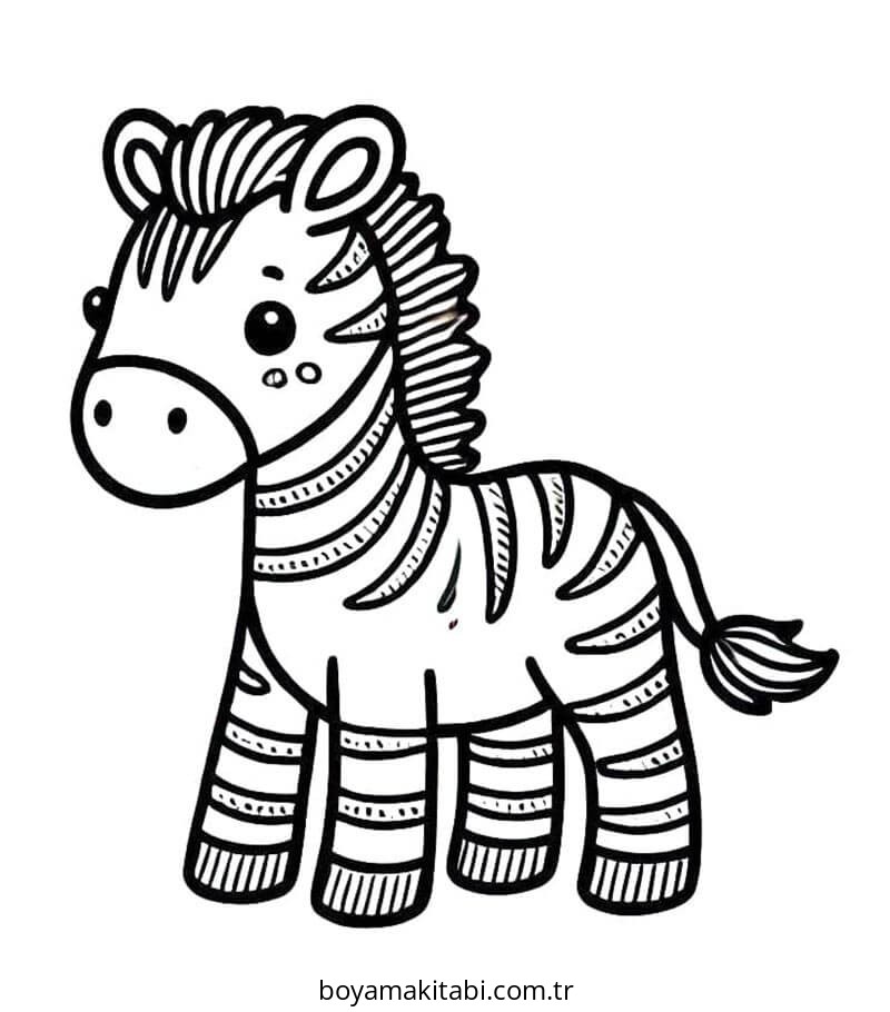 Zebra