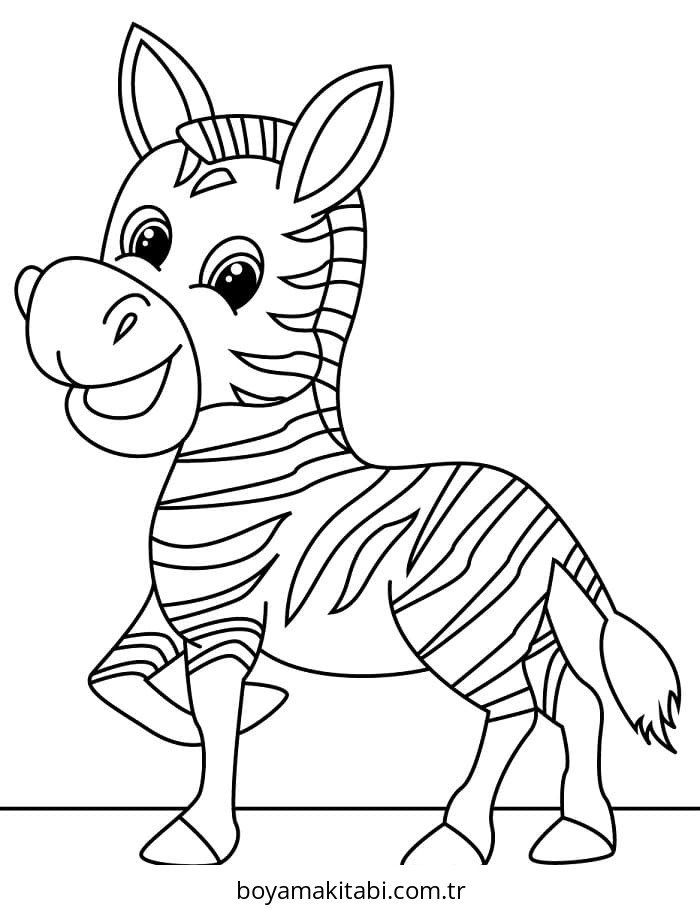 Zebra