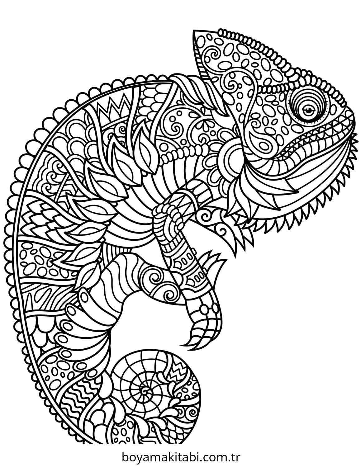 Zentangle