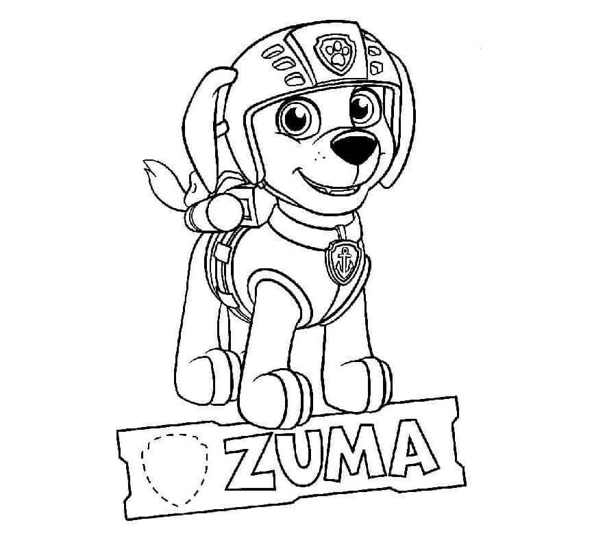 Zuma